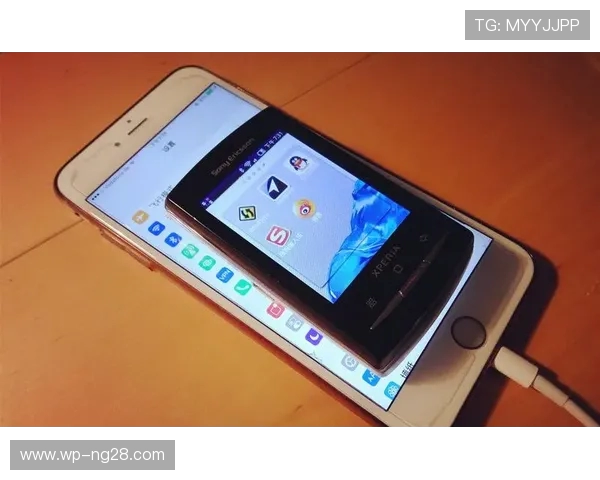 三百元以内性能优越的二手手机推荐及选购指南